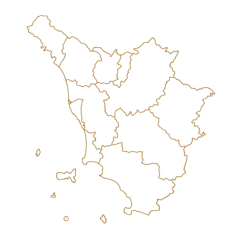 Mappa della Toscana con i confini delle 10 province evidenziati da linee dorate su sfondo trasparente, utilizzata per rappresentare la copertura del servizio NCC in tutta la regione Toscana.